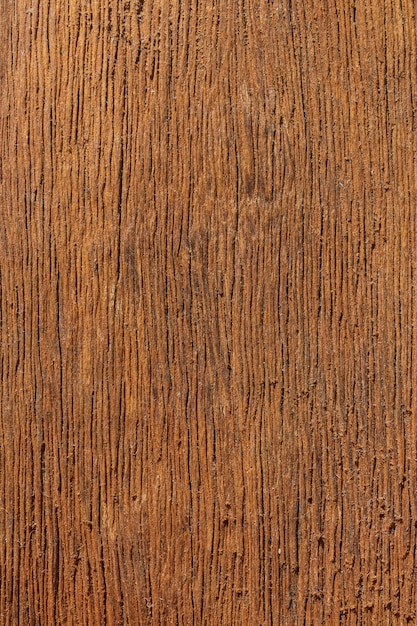 Photo wood texture for a background