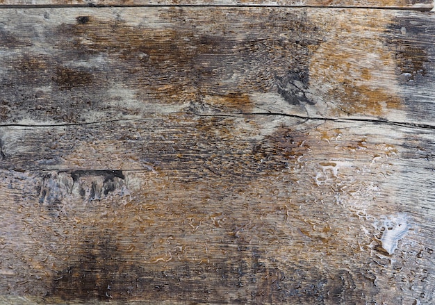 Wood texture background