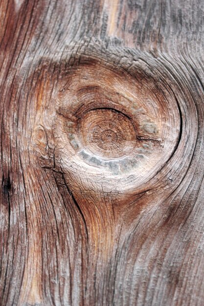 Wood texture background