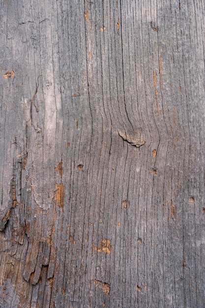 Wood texture background