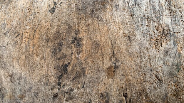 Wood texture background.