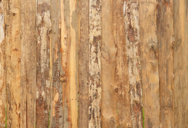 Wood Texture Background