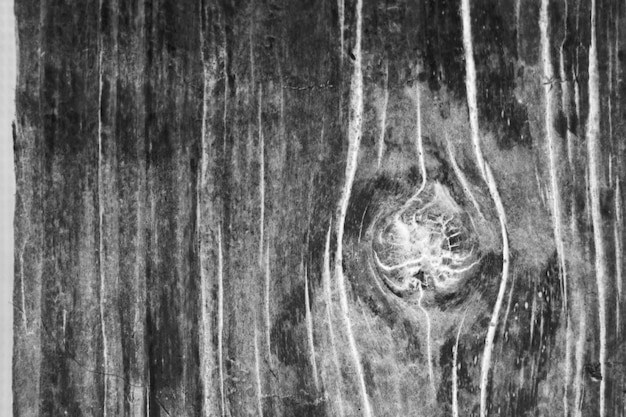 Текстура древесины Коричневый деревянный фон