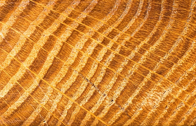 Wood Texture closeup. Organic Background Texture. Grunge wooden texture.