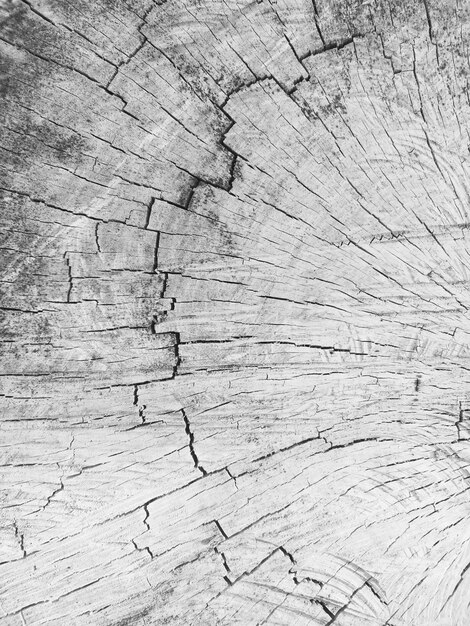 Foto sfondo di dettaglio texture legno.