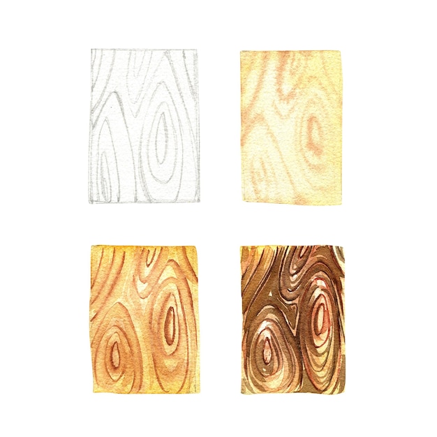 Photo wood texture drawing tutorial isolated on white background watercolor hand drawn