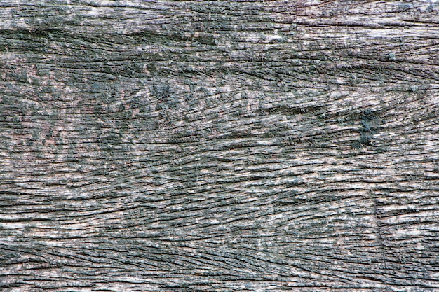 Wood texture. Old wood with cracks 