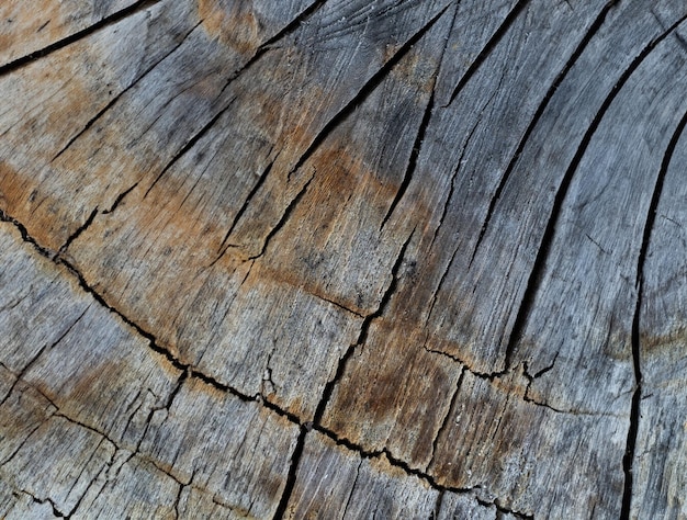 Wood texture with natural fibers board perfect for construction