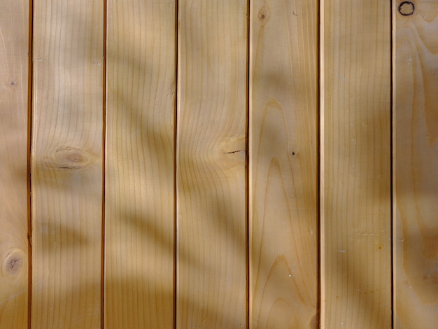 Wood texture with natural light