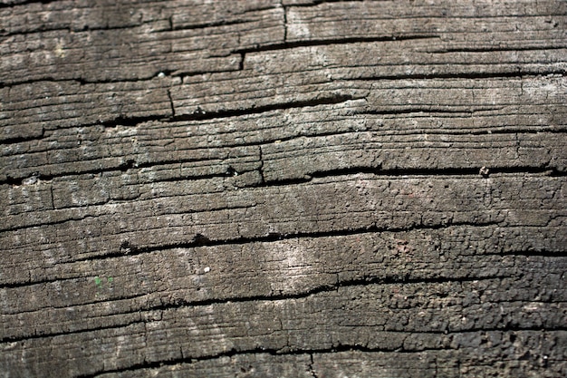 Wood texture with natural patterns as a background