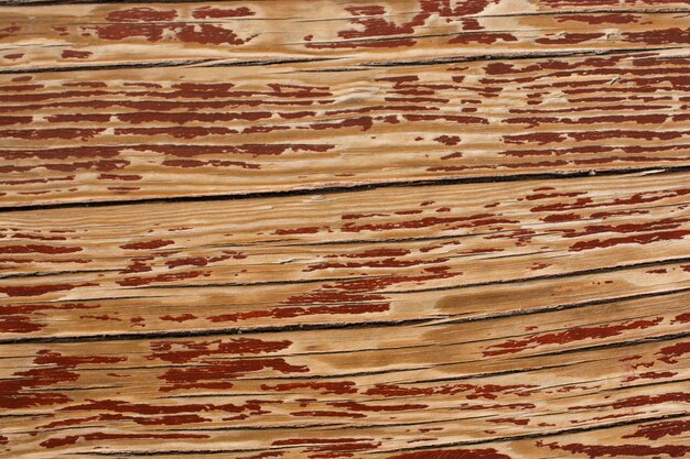 Wood texture with natural patterns