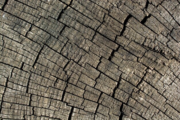 Wood texture with natural patterns