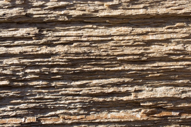 Wood texture with natural patterns