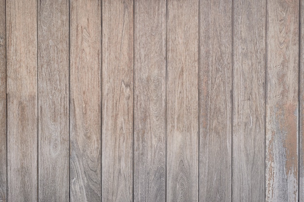 Wood texture. Wood texture for design and decoration