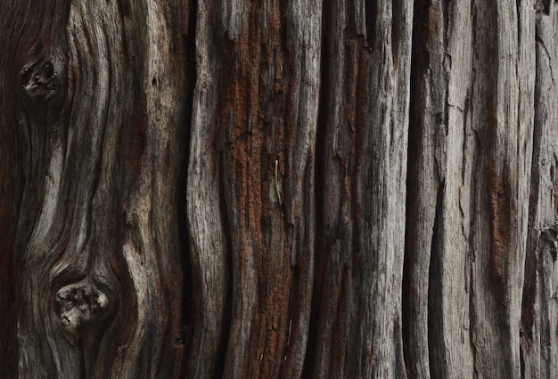 wood texture