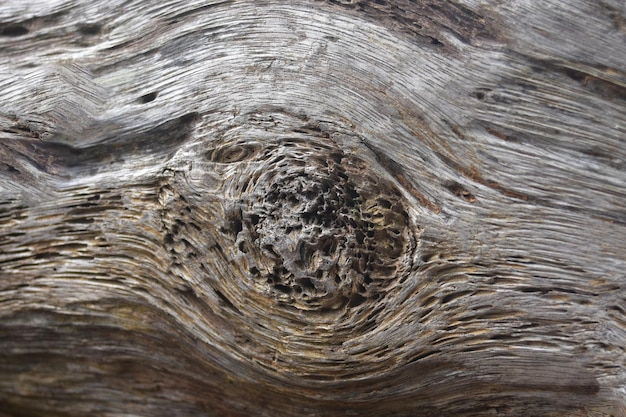 wood texture