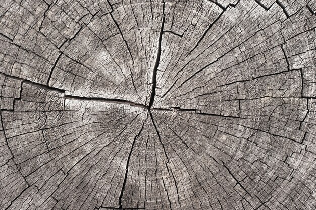 Wood texture.