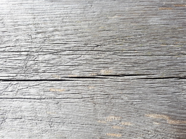 Photo wood texture