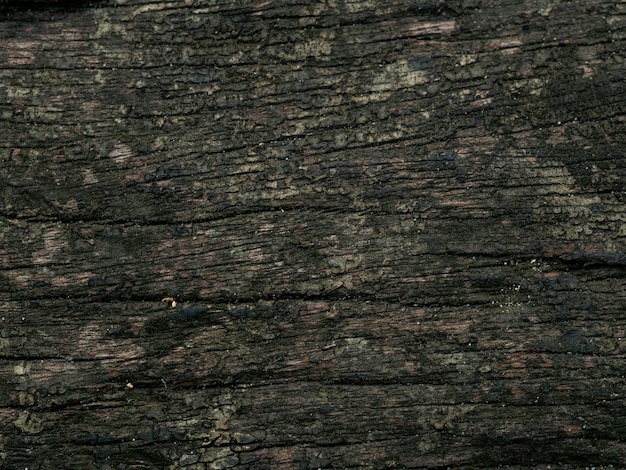 Wood texture