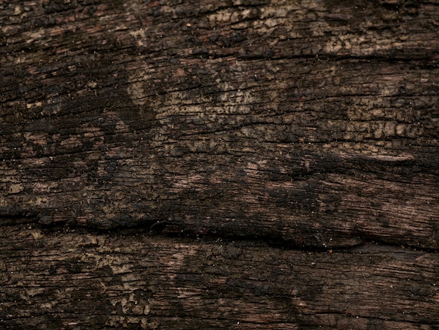 Wood texture