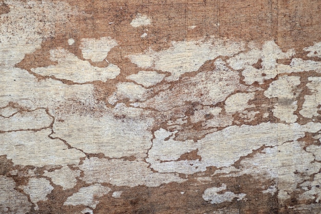 Wood texture