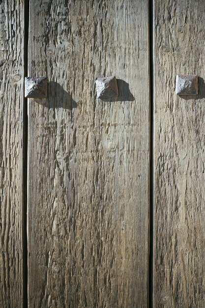 Photo wood texture