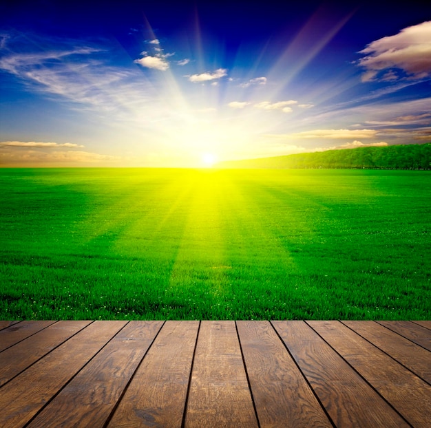 Wood textured backgrounds in a room interior on the sky field backgrounds