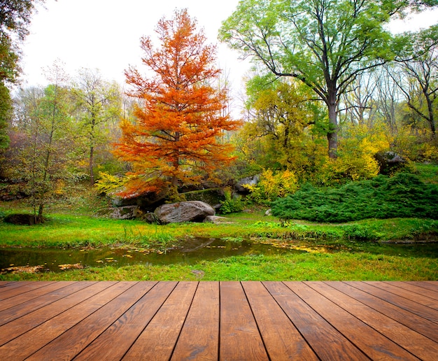 Wood textureds in a room interior on the sky fields