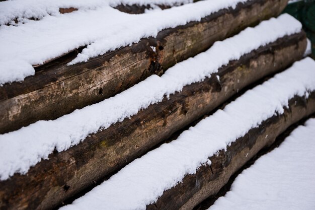 Legno in attesa di essere tagliato presso i rami del deposito di legname e tronchi sull'erba sotto la prima neve