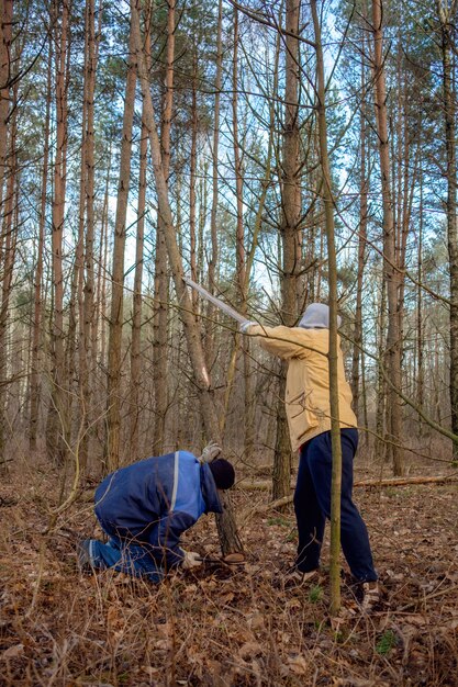 Bracconieri di boscaioli che tagliano foresta