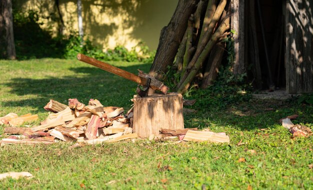 Photo woodcutting in