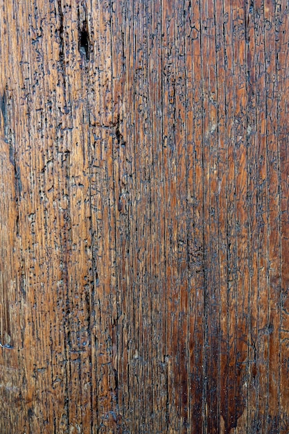 Photo woode texture rustic