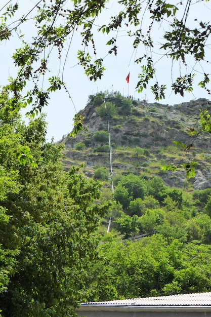 石の崖に囲まれた樹林帯