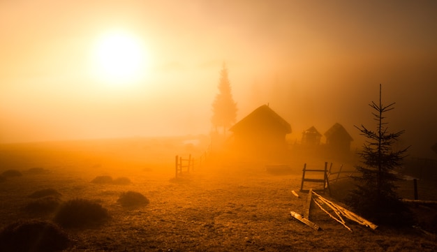 Wooden abandoned barn during sunset. Several trees grow nearby, ruined wooden fence