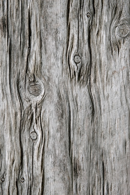 Photo wooden abstract background