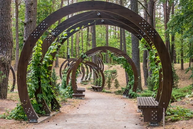 Wooden arches with benches in the city park of rest