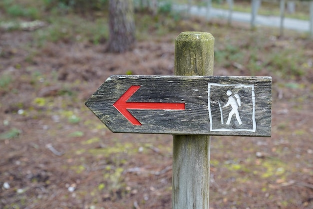 Photo wooden arrow pointing the direction of footpath for hike trail in nature reserve forest walk