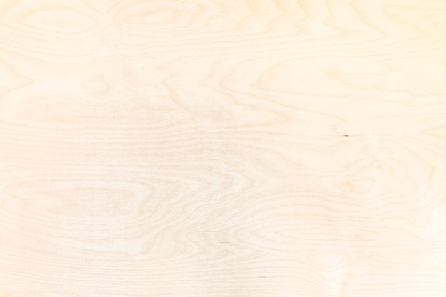 Wooden background from natural birch plywood