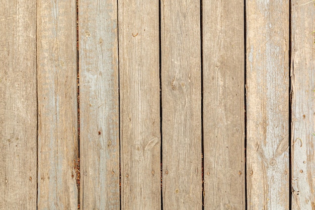 Wooden background from old wood close up