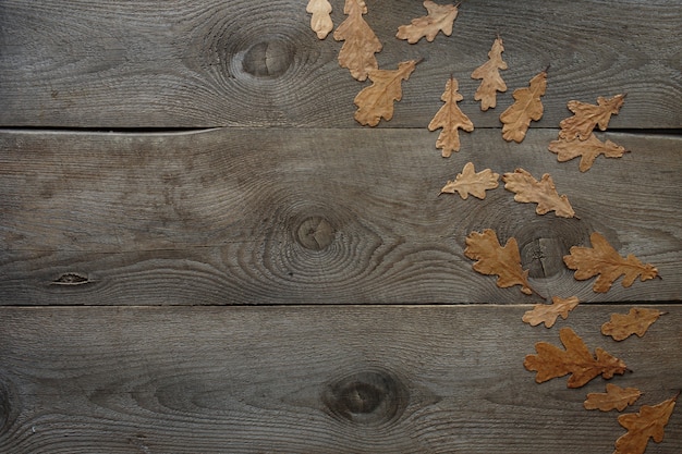 Wooden background, oak leaves, wood texture