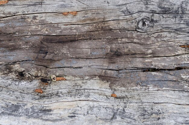 Wooden background pattern for crafts or abstract art texture