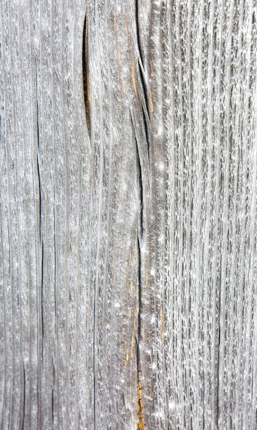 Wooden background. Rustic texture outdoors.