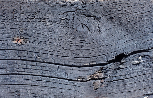 Wooden background texture of burnt board