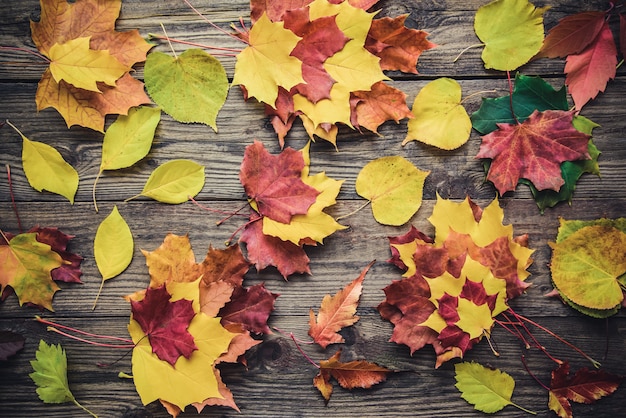 Wooden background with autumn leaves