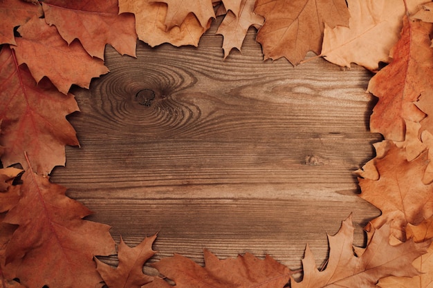 Wooden background with a frame of leaves