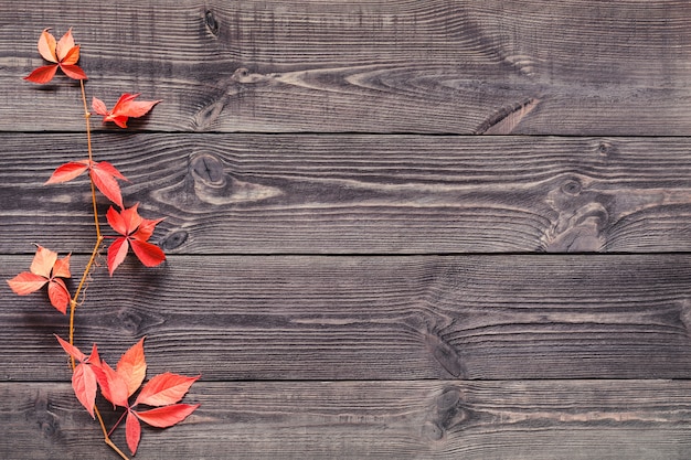 Wooden background with leaves of wild grapes.