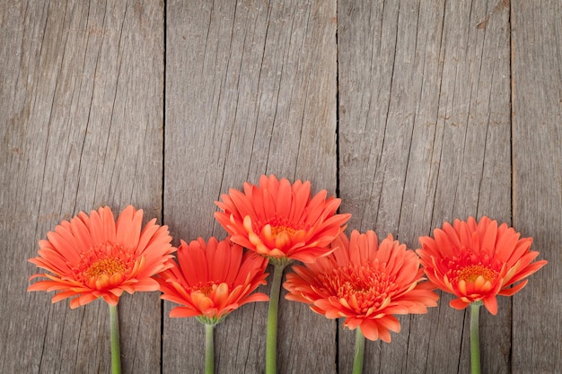 Foto fondo in legno con fiori di gerbera arancione