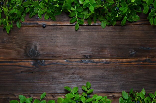 Wooden background with twigs and berries of blueberries and space for text