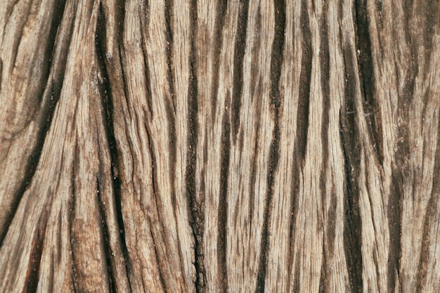 Photo wooden background