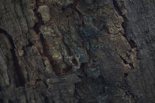 wooden background